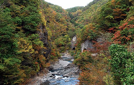 長内渓流