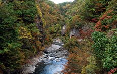 長内渓流・滝ダム湖遊覧船